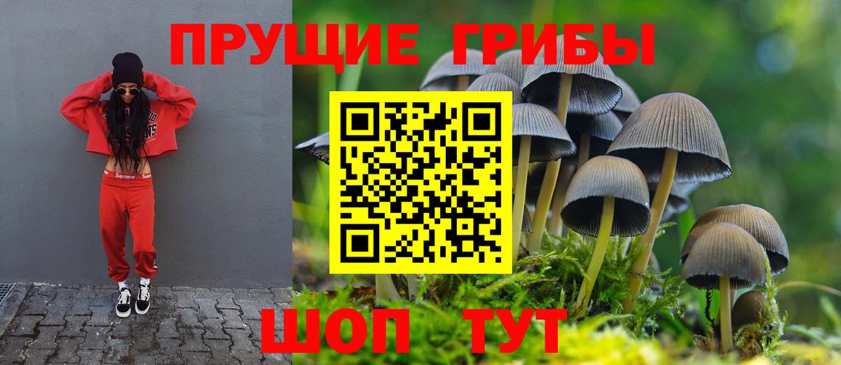 Псилоцибиновые грибы Psilocybe  Псилоцибиновые грибы ЛСД  Фрязино  купить закладку  Вход с VPN 